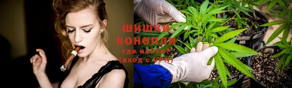 гидра Ельня
