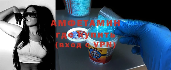 гидра Ельня