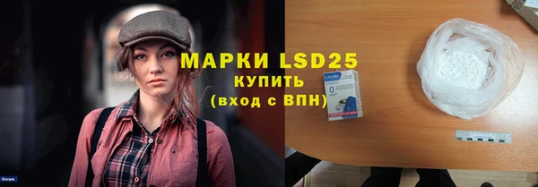 гидра Ельня