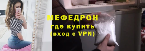 гидра Ельня