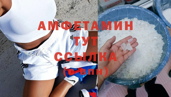 гидра Ельня