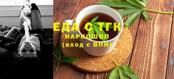гидра Ельня