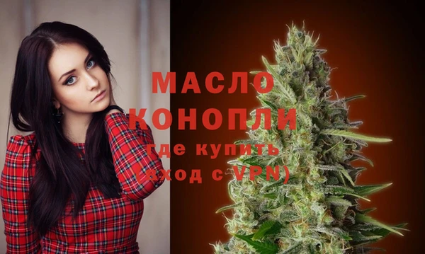 гидра Ельня