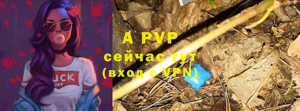 кокс Елизово