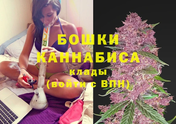 кокс Елизово