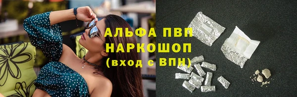 гидра Ельня