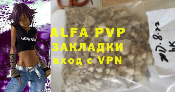 гидра Ельня