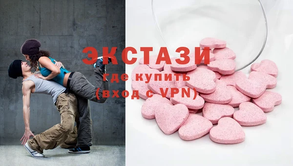 гидра Ельня