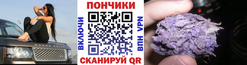 Купить закладки  Ужур  Каннабис Ganja 